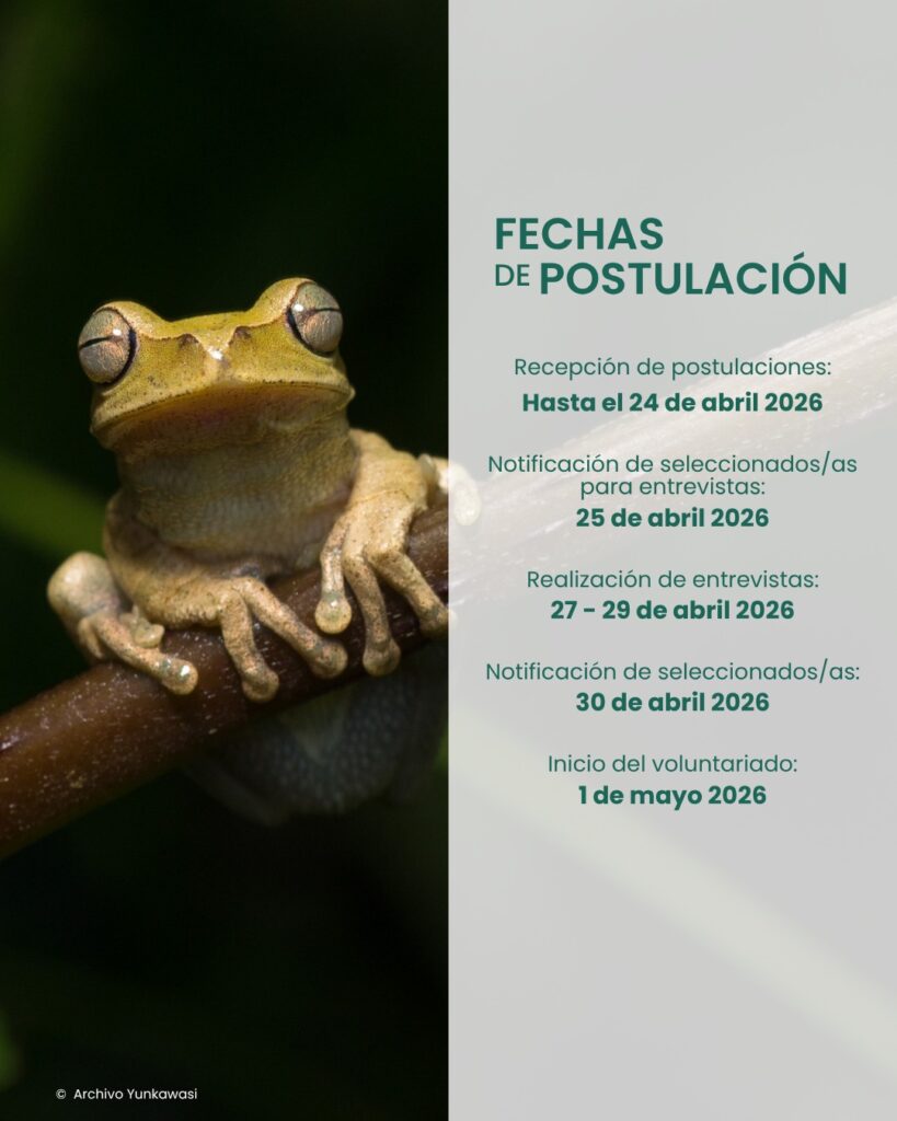 674183607_122297936948032265_573201972027217550_n