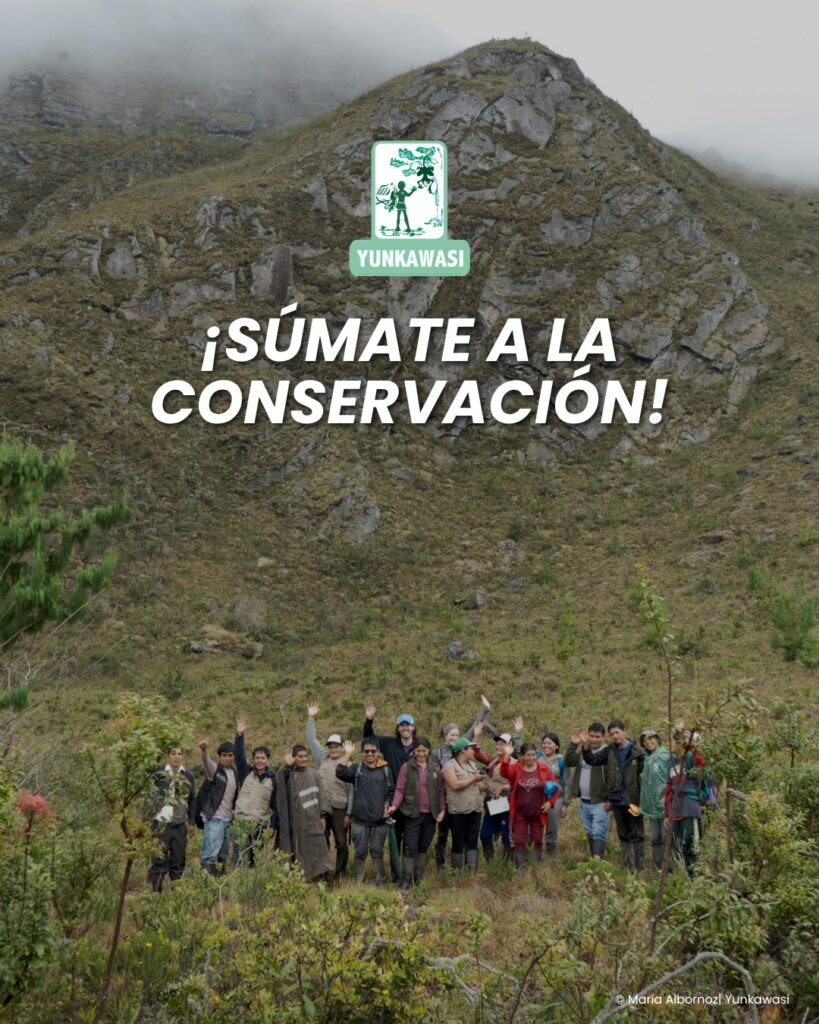 676698606_122297937002032265_336945866979656360_n