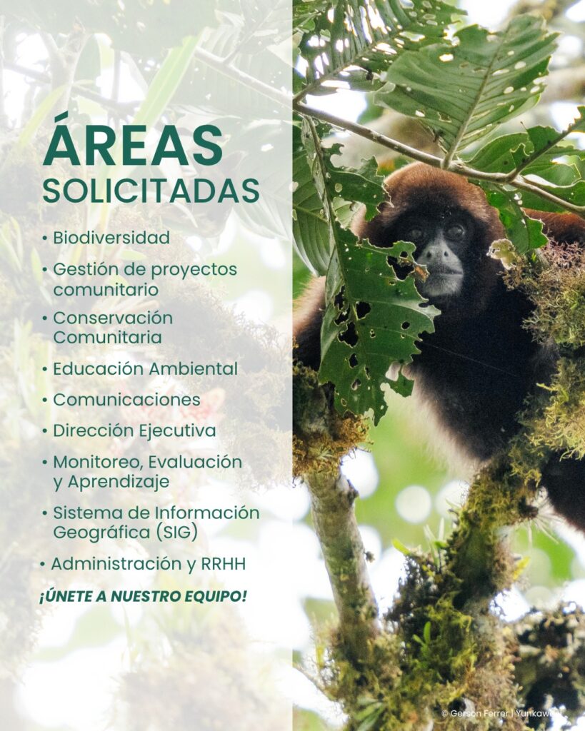 678344399_122297936888032265_6902230944006051818_n